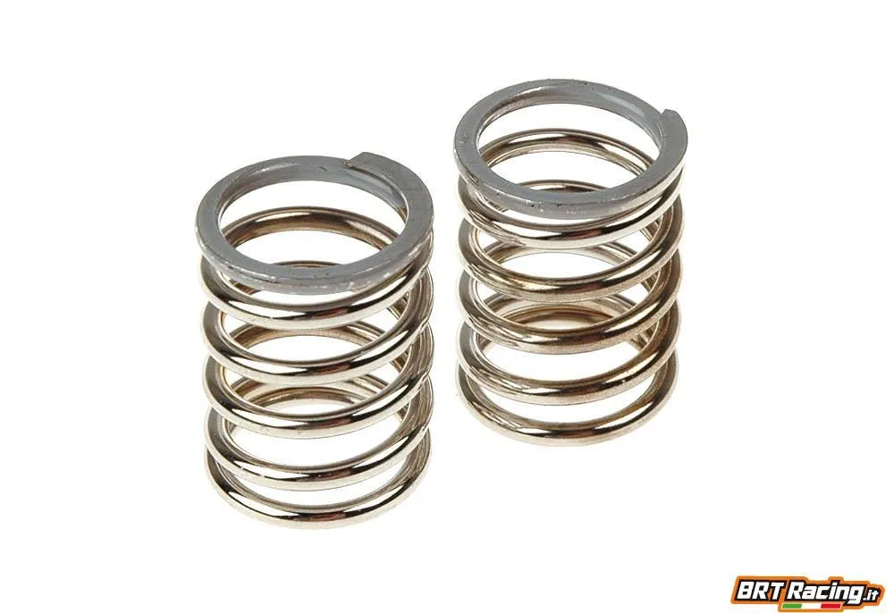 160308 SERPENT Spring grey L23 9/51.5 (2pz)